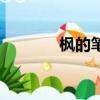 楓的筆順怎么寫（楓的筆順）
