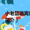 小老鼠逃離密室64（關于小老鼠逃離密室64簡介）