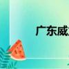 廣東威立（關于廣東威立介紹）