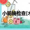 小腸鏡檢查[術]（關于小腸鏡檢查[術]簡介）