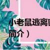 小老鼠逃離密室60（關于小老鼠逃離密室60簡介）