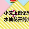 小艾上班記5：水仙花開（關于小艾上班記5：水仙花開簡介）