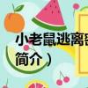小老鼠逃離密室66（關于小老鼠逃離密室66簡介）