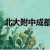 北大附中成都新津實驗學校是公辦還是民辦