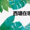 西塘在哪里在哪個市（西塘在哪）