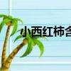 小西紅柿含尼古丁嗎（西紅柿尼古丁）
