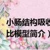 小腸結構吸收對比模型（關于小腸結構吸收對比模型簡介）