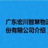 廣東宏川智慧物流股份有限公司（關于廣東宏川智慧物流股份有限公司介紹）