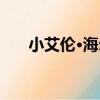 小艾倫·海爾（關于小艾倫·海爾簡介）