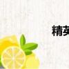 精英（關于精英的簡介）