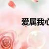 愛屬我心（關于愛屬我心的簡介）