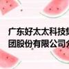 廣東好太太科技集團股份有限公司（關于廣東好太太科技集團股份有限公司介紹）