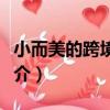 小而美的跨境電商（關于小而美的跨境電商簡介）