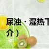 尿濁?濕熱下注證（關于尿濁?濕熱下注證簡介）