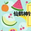 仙鶴神針（關于仙鶴神針的簡介）