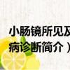 小腸鏡所見及疾病診斷（關于小腸鏡所見及疾病診斷簡介）