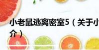 小老鼠逃離密室5(關于小老鼠逃離密室5簡介)