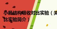 小腸結構吸收對比實驗(關于小腸結構吸收對比實驗簡介)