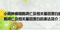小腸腫瘤細胞凋亡及相關基因蛋白的表達(關于小腸腫瘤細胞凋亡及相關基因蛋白的表達簡介)