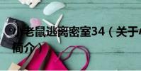 小老鼠逃離密室34(關于小老鼠逃離密室34簡介)