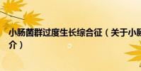 小腸菌群過度生長綜合征(關于小腸菌群過度生長綜合征簡介)
