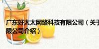 廣東好太太網絡科技有限公司(關于廣東好太太網絡科技有限公司介紹)