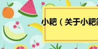 小耙(關于小耙簡介)