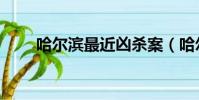 哈爾濱最近兇殺案(哈爾濱殺人狂)