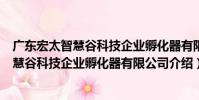 廣東宏太智慧谷科技企業孵化器有限公司(關于廣東宏太智慧谷科技企業孵化器有限公司介紹)