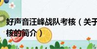 好聲音汪峰戰隊考核(關于好聲音汪峰戰隊考核的簡介)