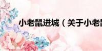 小老鼠進城(關于小老鼠進城簡介)