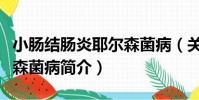 小腸結腸炎耶爾森菌病(關于小腸結腸炎耶爾森菌病簡介)
