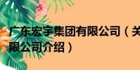 廣東宏宇集團有限公司(關于廣東宏宇集團有限公司介紹)