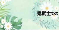 鬼武士txt