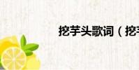 挖芋頭歌詞(挖芋頭)