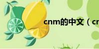 cnm的中文(cn m)