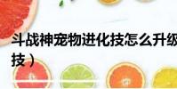 斗戰神寵物進化技怎么升級(斗戰神寵物進化技)