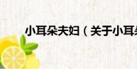 小耳朵夫婦(關于小耳朵夫婦簡介)