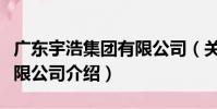 廣東宇浩集團有限公司(關于廣東宇浩集團有限公司介紹)