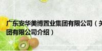 廣東安華美博置業集團有限公司(關于廣東安華美博置業集團有限公司介紹)