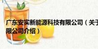 廣東安實新能源科技有限公司(關于廣東安實新能源科技有限公司介紹)