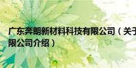 廣東奔朗新材料科技有限公司(關于廣東奔朗新材料科技有限公司介紹)