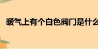 暖氣上有個白色閥門是什么(閥門是什么)