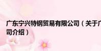 廣東寧興特鋼貿易有限公司(關于廣東寧興特鋼貿易有限公司介紹)