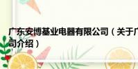 廣東安博基業電器有限公司(關于廣東安博基業電器有限公司介紹)