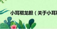小耳褶龍膽(關于小耳褶龍膽簡介)