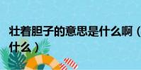 壯著膽子的意思是什么啊(壯著膽子的意思是什么)