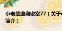 小老鼠逃離密室77(關于小老鼠逃離密室77簡介)