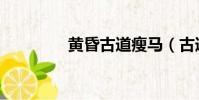 黃昏古道瘦馬(古道瘦馬)