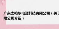 廣東太格爾電源科技有限公司(關于廣東太格爾電源科技有限公司介紹)